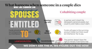 Understanding Common Law Spouse Entitlements