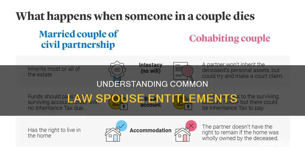 what are common law spouses entitled to