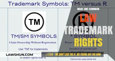 Trademark Rights: Common Law vs. Registration
