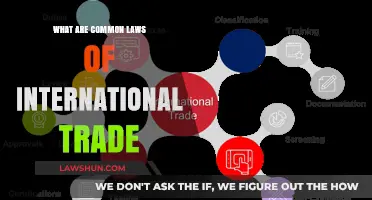 International Trade: Understanding the Universal Laws