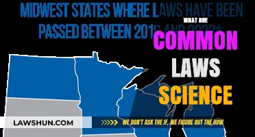 Science Laws: Universal Truths and Principles