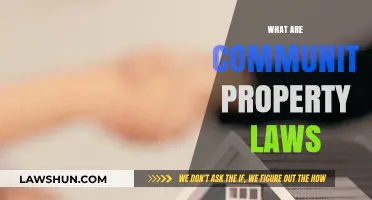 Understanding Community Property Laws: A Guide to Shared Assets in Marriage