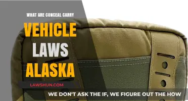Alaska's Concealed Carry Vehicle Laws: What You Need to Know
