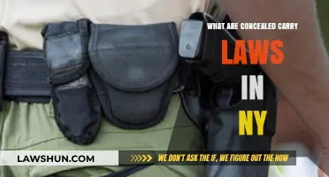 Understanding New York's Concealed Carry Laws: A Comprehensive Guide