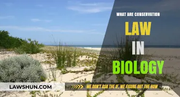 Understanding Conservation Laws: Protecting Biodiversity and Ecosystem Balance in Biology