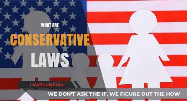 Understanding Conservative Laws: Principles, Impact, and Societal Implications