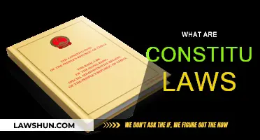 Understanding Constitutional Law: The Basics