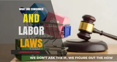 Understanding Consumer and Labor Laws: Rights, Protections, and Responsibilities