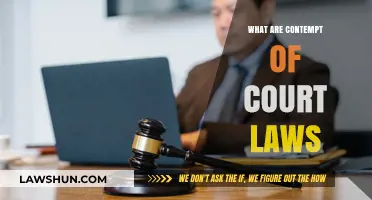 Understanding Contempt of Court Laws: Legal Boundaries and Consequences Explained