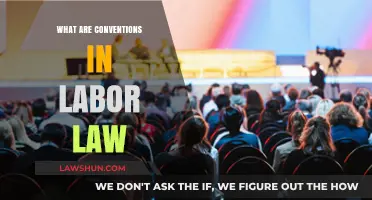 Understanding Labor Law Conventions: Key Principles and Workplace Protections