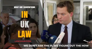 UK Law: Understanding Conventions and Their Importance