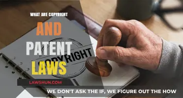 Understanding Copyright and Patent Laws: Protecting Intellectual Property Rights