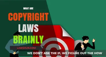 Understanding Copyright Laws: A Comprehensive Guide for Brainly Users
