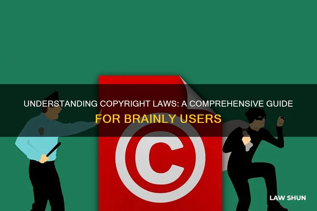 what are copyright laws brainly