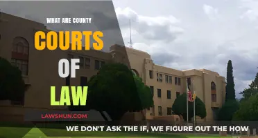 Understanding County Courts: Roles, Functions, and Legal Processes Explained