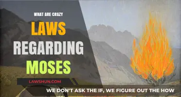 Unbelievable Moses-Related Laws: Strange Statutes Still on the Books
