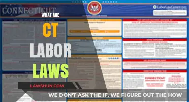 Understanding Connecticut Labor Laws: Essential Rights and Regulations for Workers