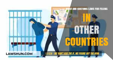 Traveling Abroad with a Felony: Understanding International Customs Laws