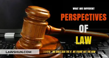Exploring Law: Diverse Perspectives, One Truth