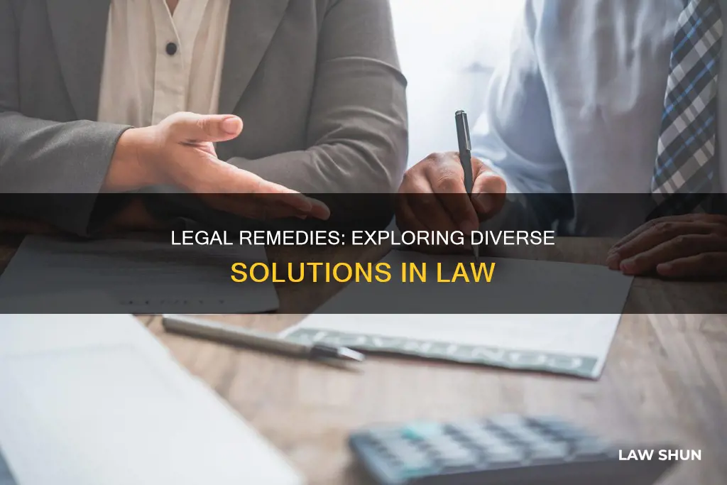 what are different remedies in law