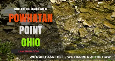 Understanding Powhatan Point, Ohio's Dog Leash Laws: A Comprehensive Guide