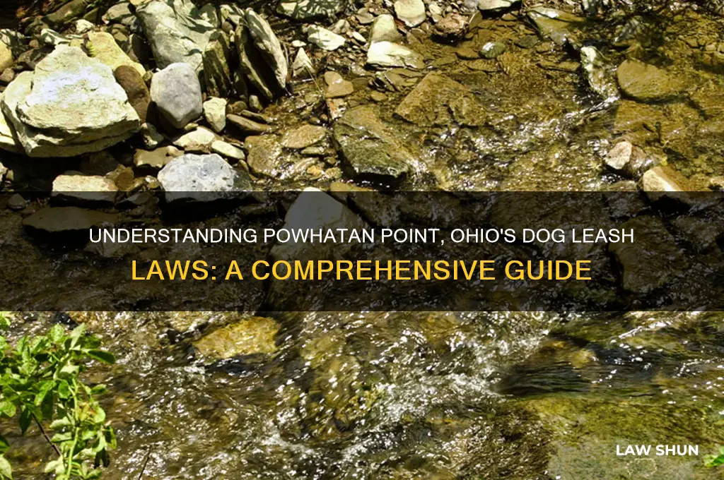 what are dog leash laws in powhatan point ohio