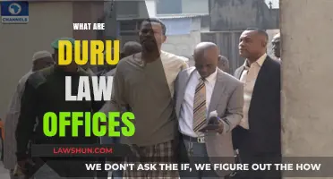 Understanding Duru Law Offices: Expert Legal Services and Specializations Explained
