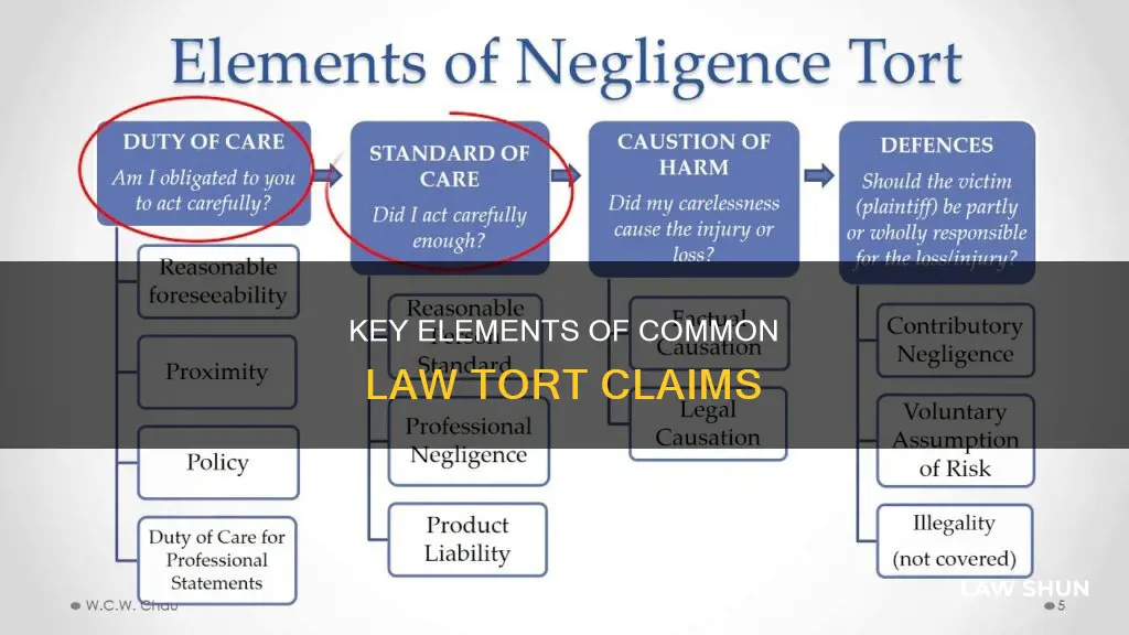 what are elements of common law tort claims