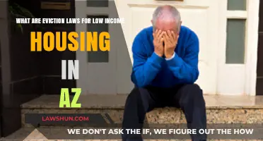 Understanding Arizona's Eviction Laws for Low-Income Housing Tenants