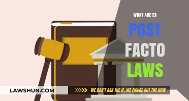 Understanding Ex Post Facto Laws: A Comprehensive Guide