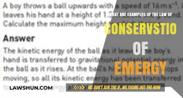 Understanding Energy Conservation: Real-World Examples of the Law in Action