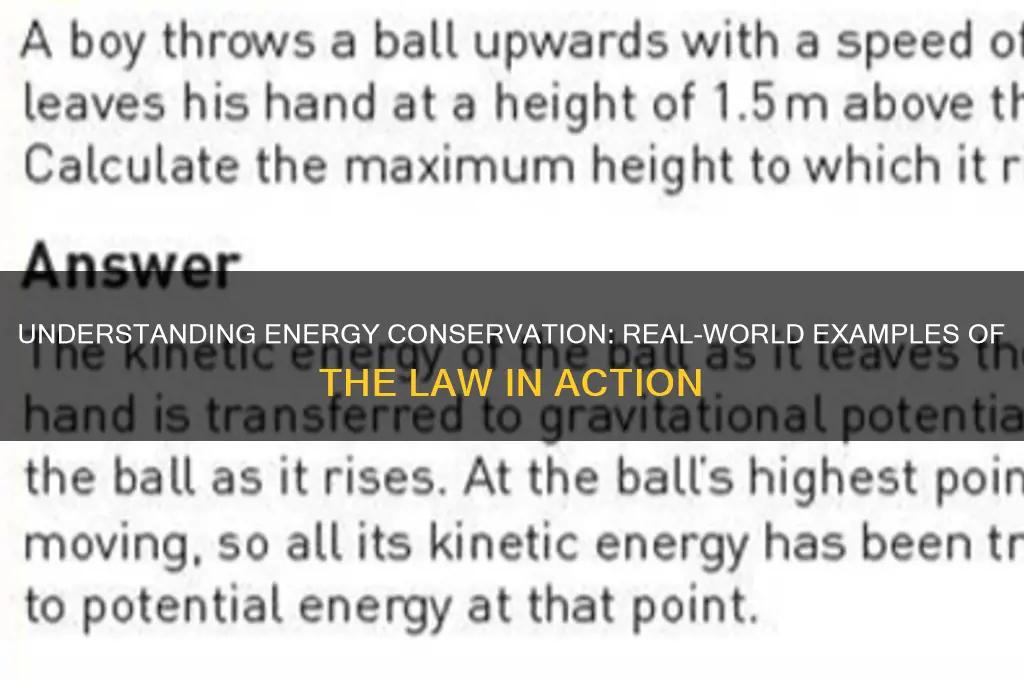 what are examples of the law of conservstion of emergy