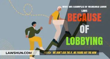 Lobbying's Impact: How Labor Laws Are Weakened in Key Industries