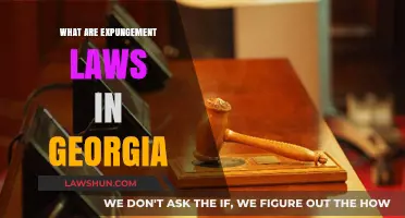 Understanding Georgia's Expungement Laws: A Comprehensive Guide to Record Clearance