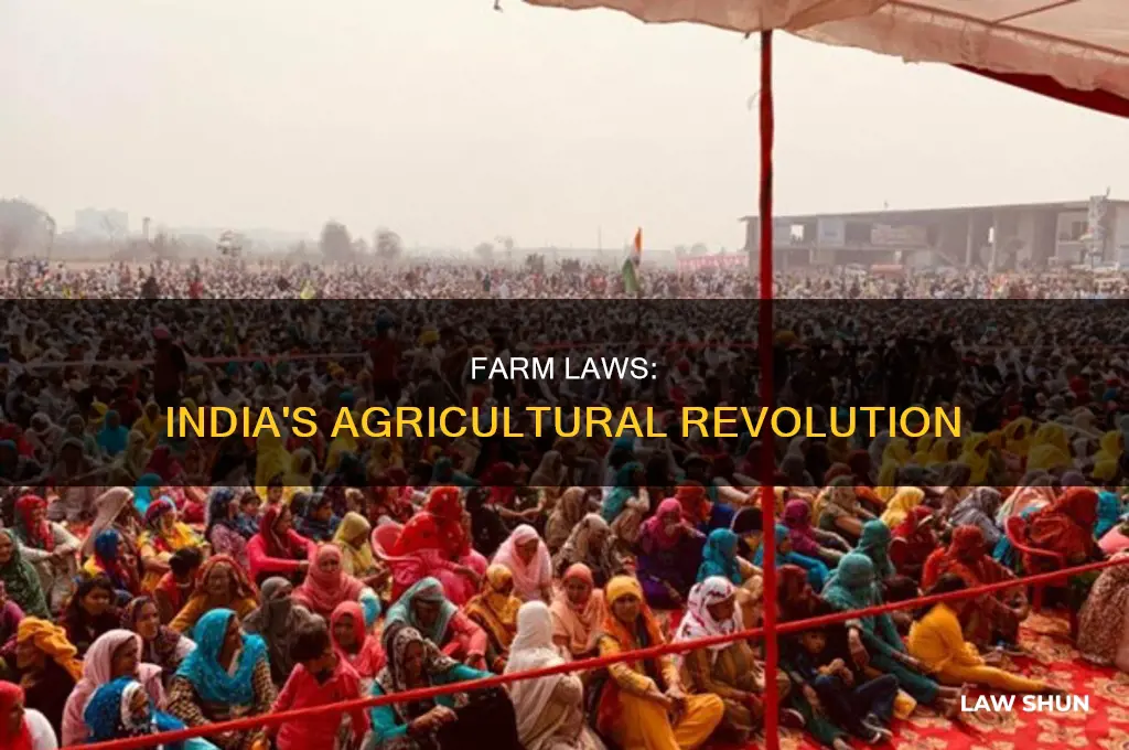 what are farm laws india
