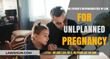 Legal Duties of Fathers in Unplanned Pregnancies: What You Need to Know