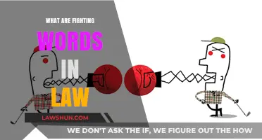 Understanding Fighting Words: A Legal Perspective on Free Speech Limits