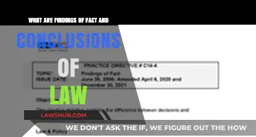 Understanding Findings of Fact and Conclusions of Law in Legal Cases