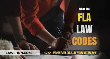 Understanding Florida Law Codes: A Comprehensive Guide to FL Statutes