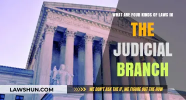 Understanding the Judicial Branch: Four Key Types of Laws Explained