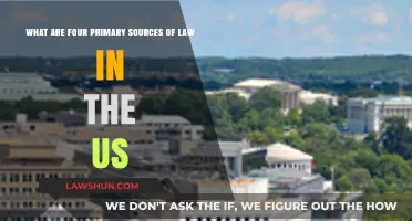 Understanding the Four Primary Sources of U.S. Law