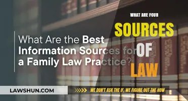 Exploring the Foundations: Four Key Sources of Law
