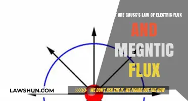 Understanding Gauss's Law: Electric and Magnetic Flux Explained Simply