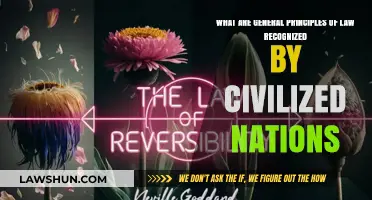 Understanding Universal Legal Principles: Foundations of Civilized Nations' Justice