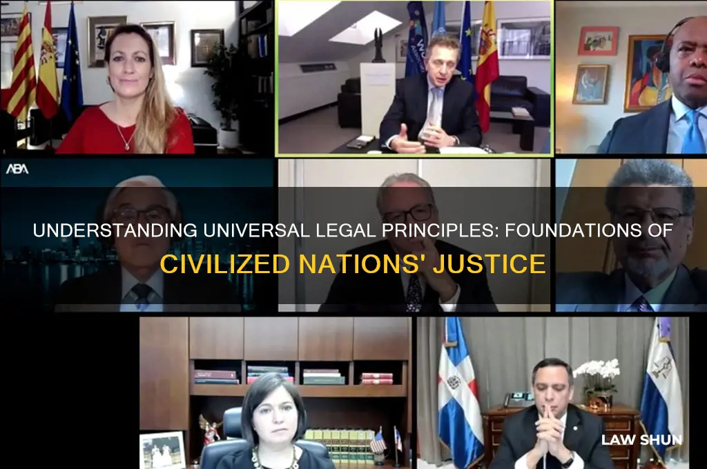 what are general principles of law recognized by civilized nations