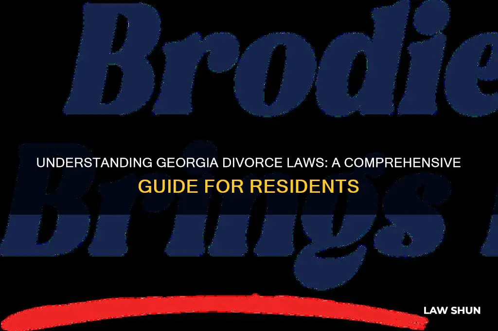 what are georgia divorce laws