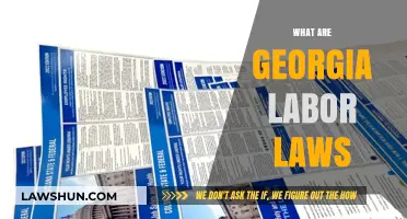 Understanding Georgia Labor Laws: Essential Rights and Regulations for Workers