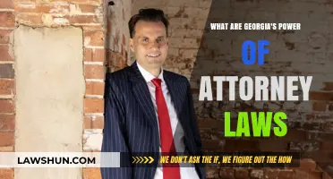 Understanding Georgia's Power of Attorney Laws: A Comprehensive Legal Guide