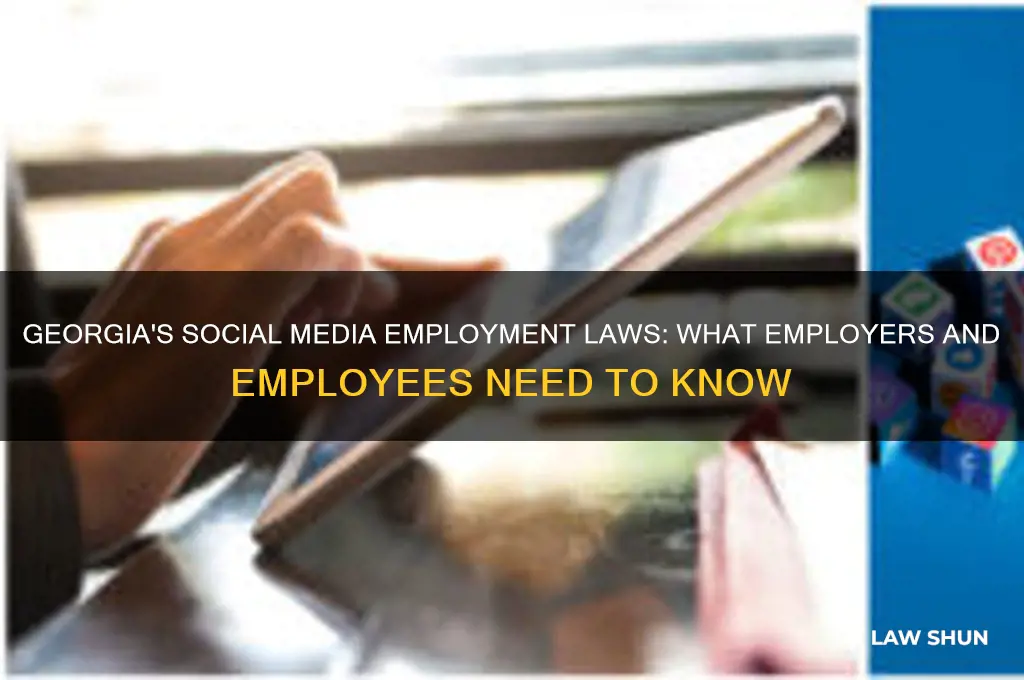 what are georgias social media employment laws