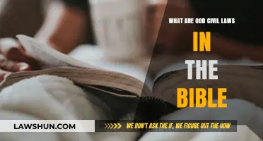 Understanding God's Civil Laws: Biblical Principles for Society and Justice